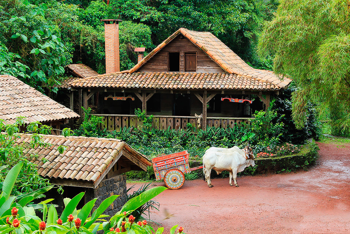 Традиционный дом местных жителей, Коста Рика